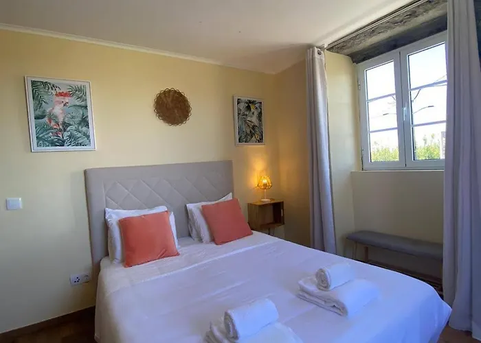 Bed & Breakfast Casa Pavao 3*